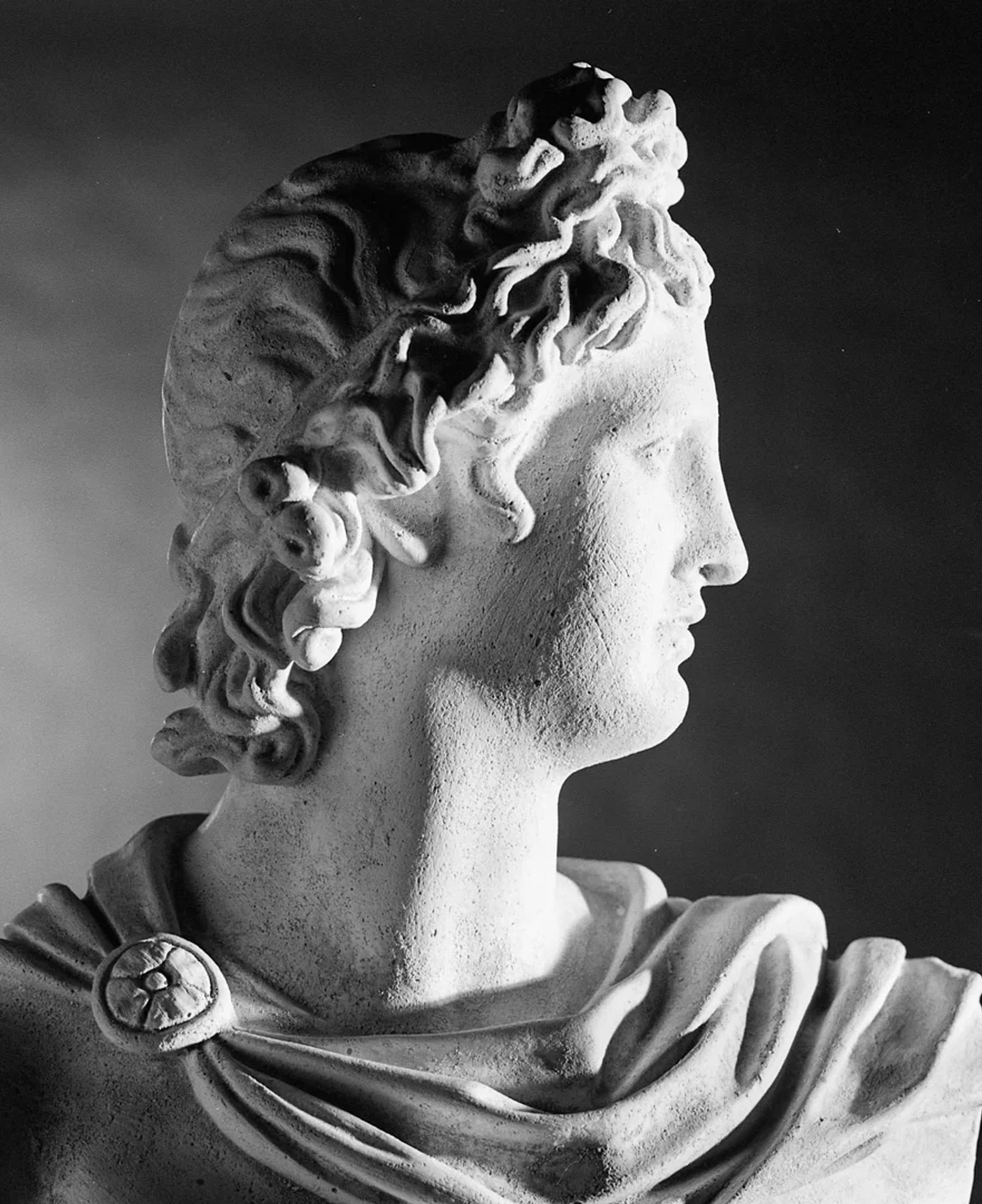 Still Life - Bust #1
