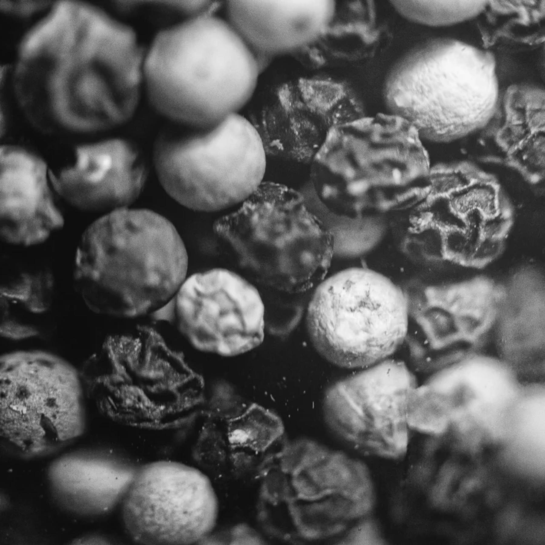 365 Project 011 / 11 Oct 2014 / peppercorn