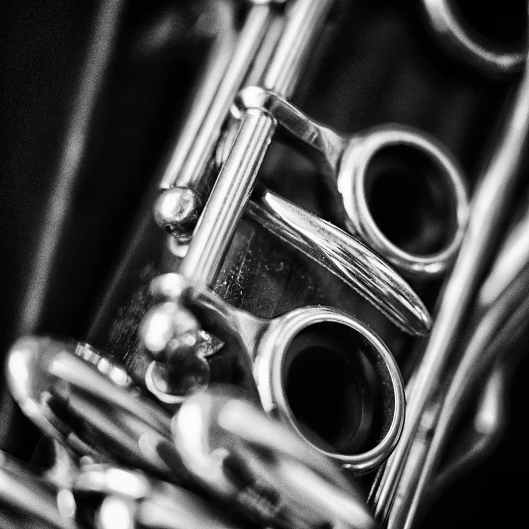 365 Project 010 / 10 Oct 2014 / clarinet