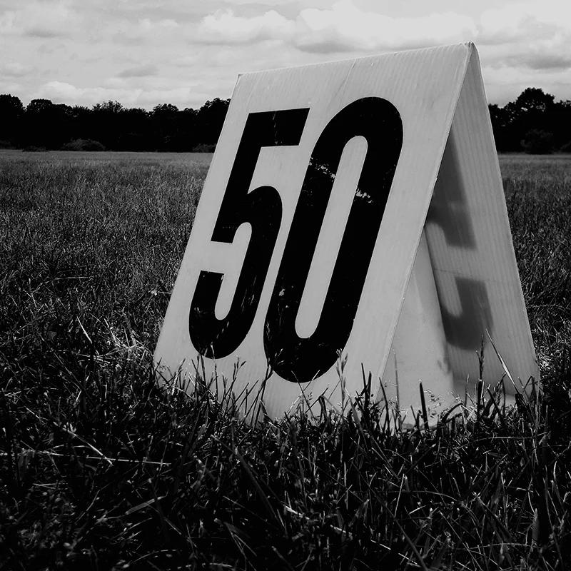 365 Project II 002 / 5 Jun 2015 / yard line