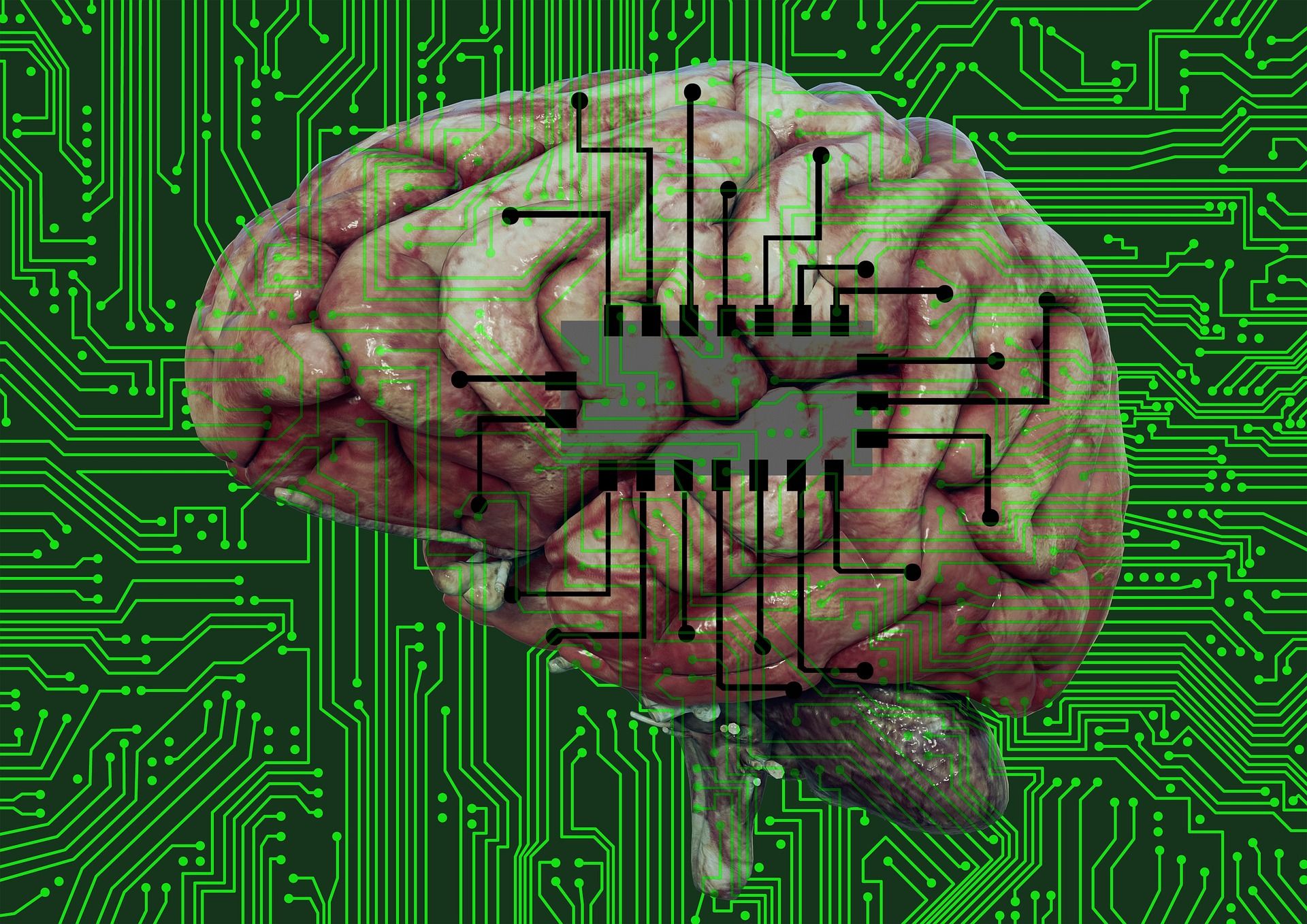 Student studying with books and notes, unlocking brain potential
