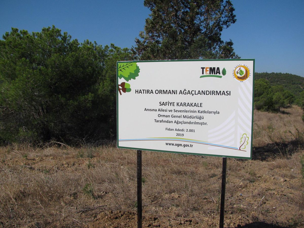 Safiye Karakale Hatıra Ormanı - Gorsel 1