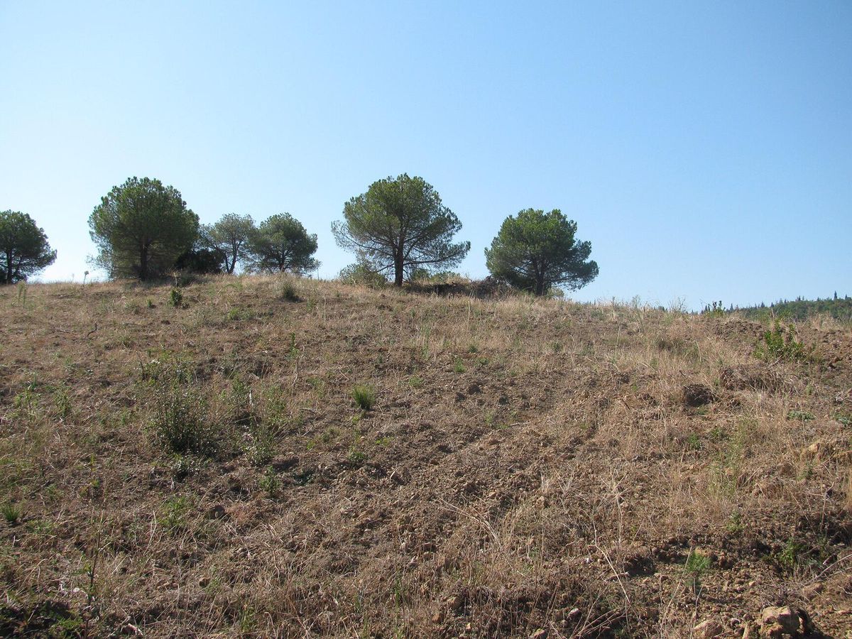 Safiye Karakale Hatıra Ormanı - Gorsel 4