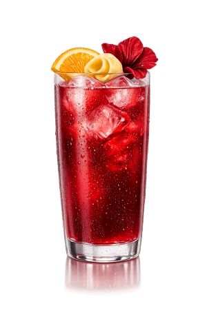 Hibiscus and ginger punch