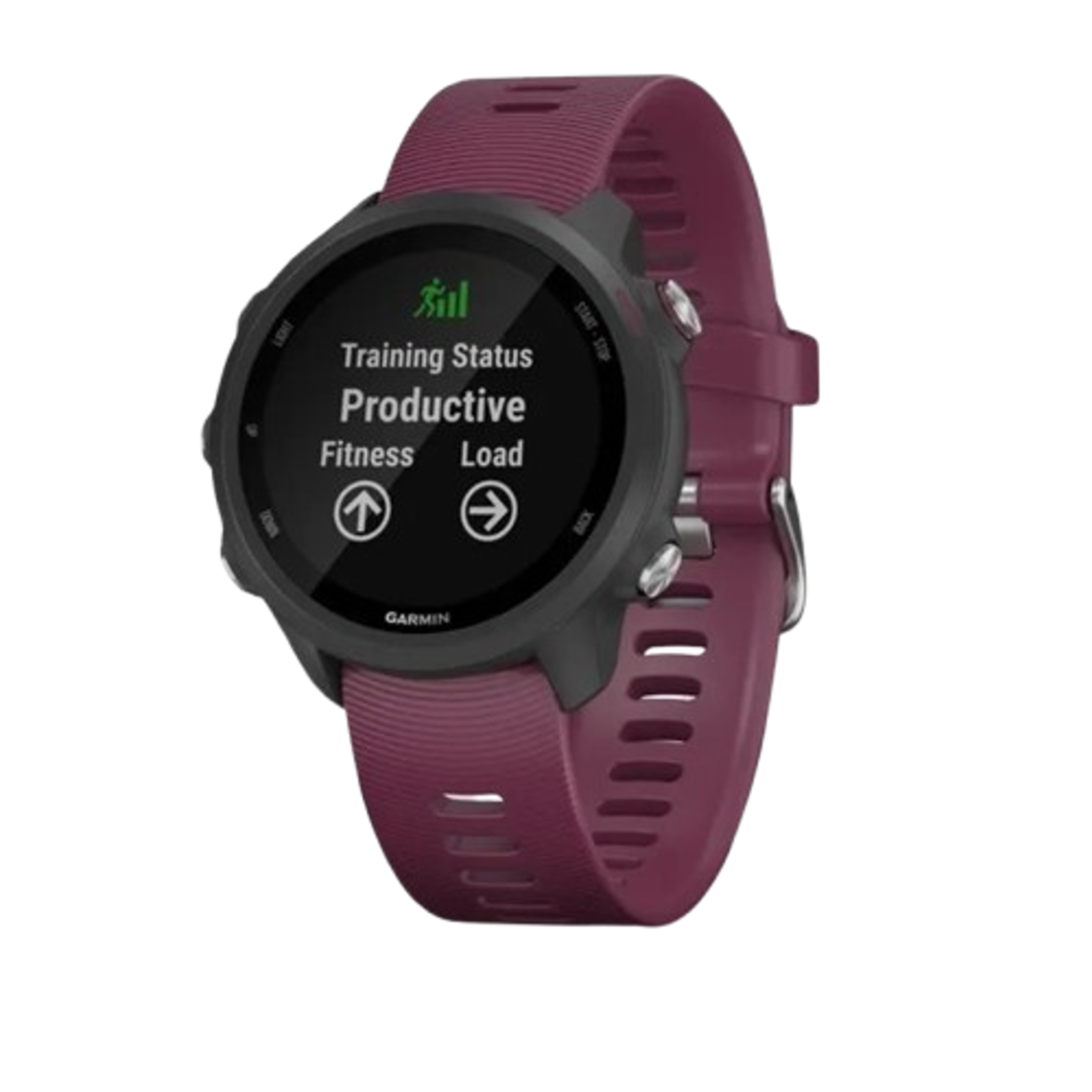 Garmin Forerunner 245