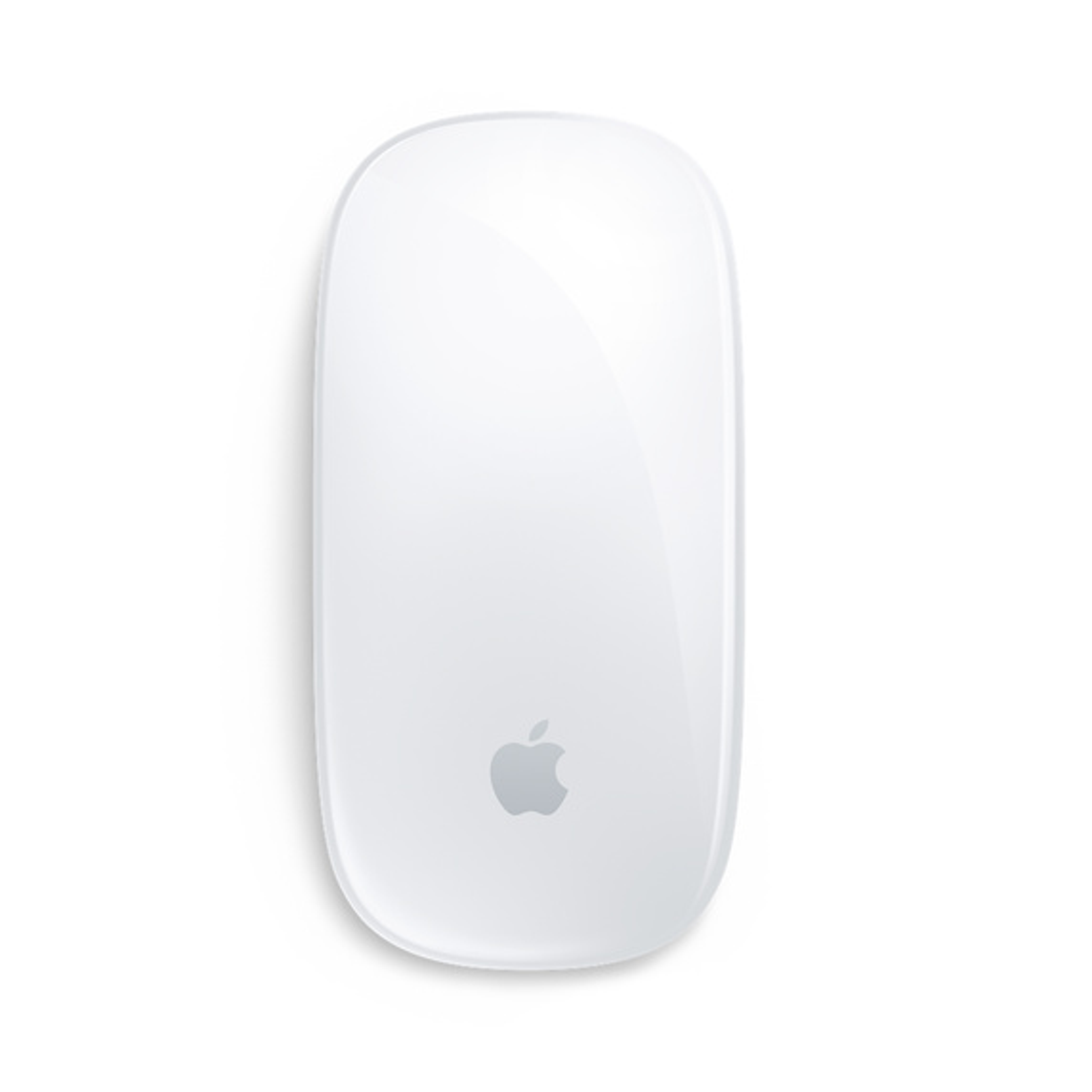 Apple Magic Mouse (USB-C) | 2024 | COLOR" WHITE