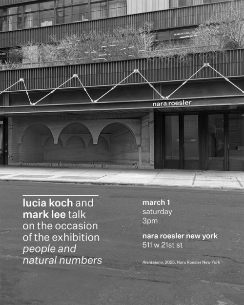 Mark Lee in conversation with Lucia Koch at Nara Roesler New York