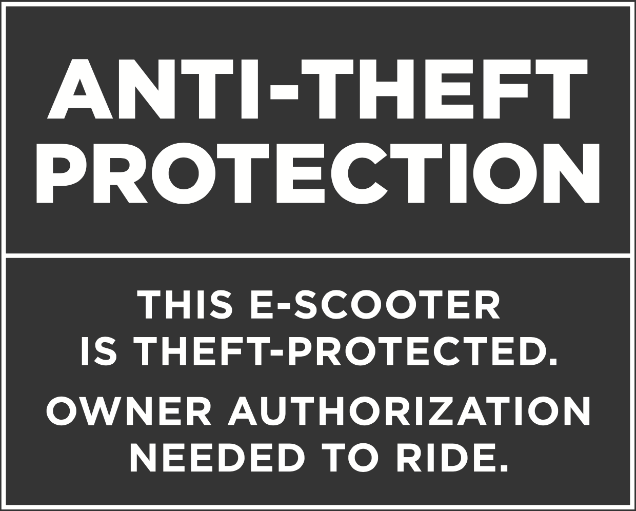 Augment ES 210 Anti-Theft Protection