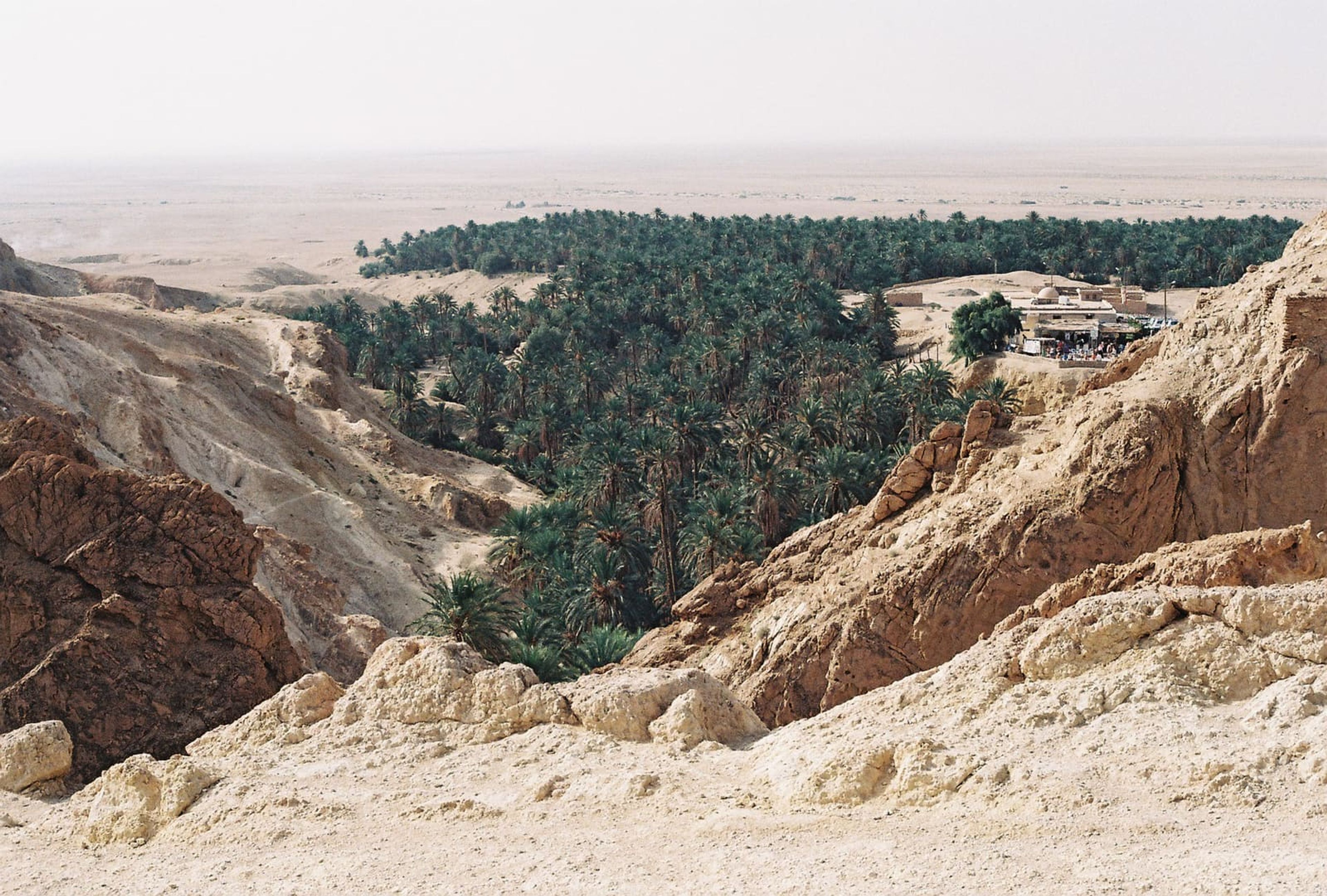Palmeraie de l'oasis de montagne de Chebika