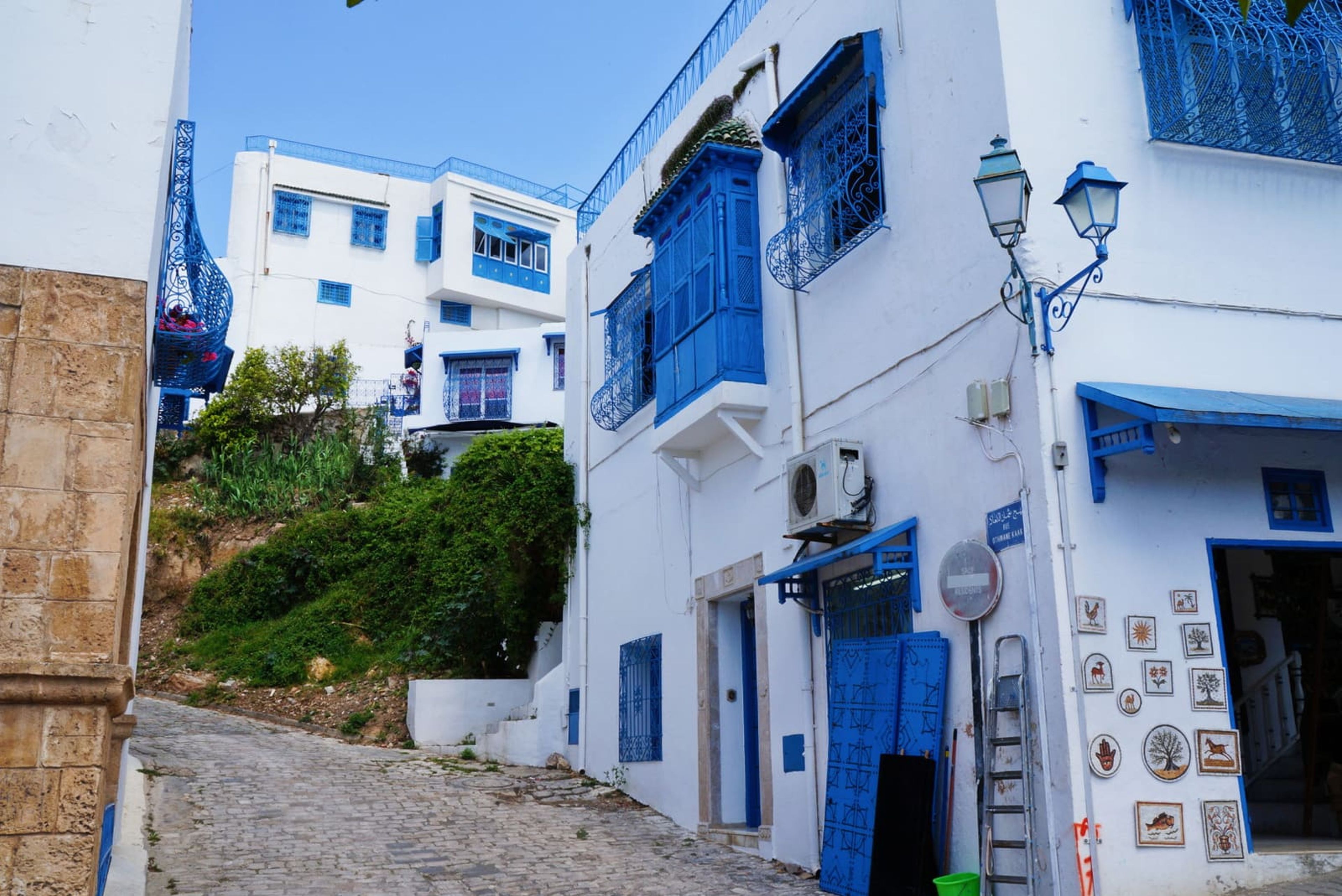 Ruelle blanche aux portes bleues à Sidi Bou Saïd