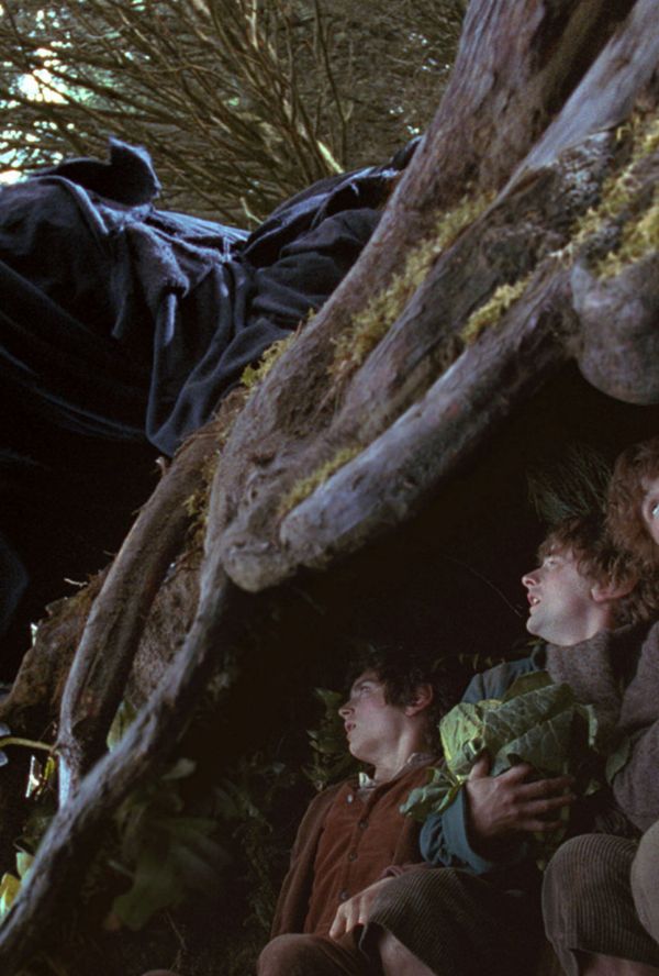 Bilde fra 'Ringenes Herre - Maraton (Extended)'