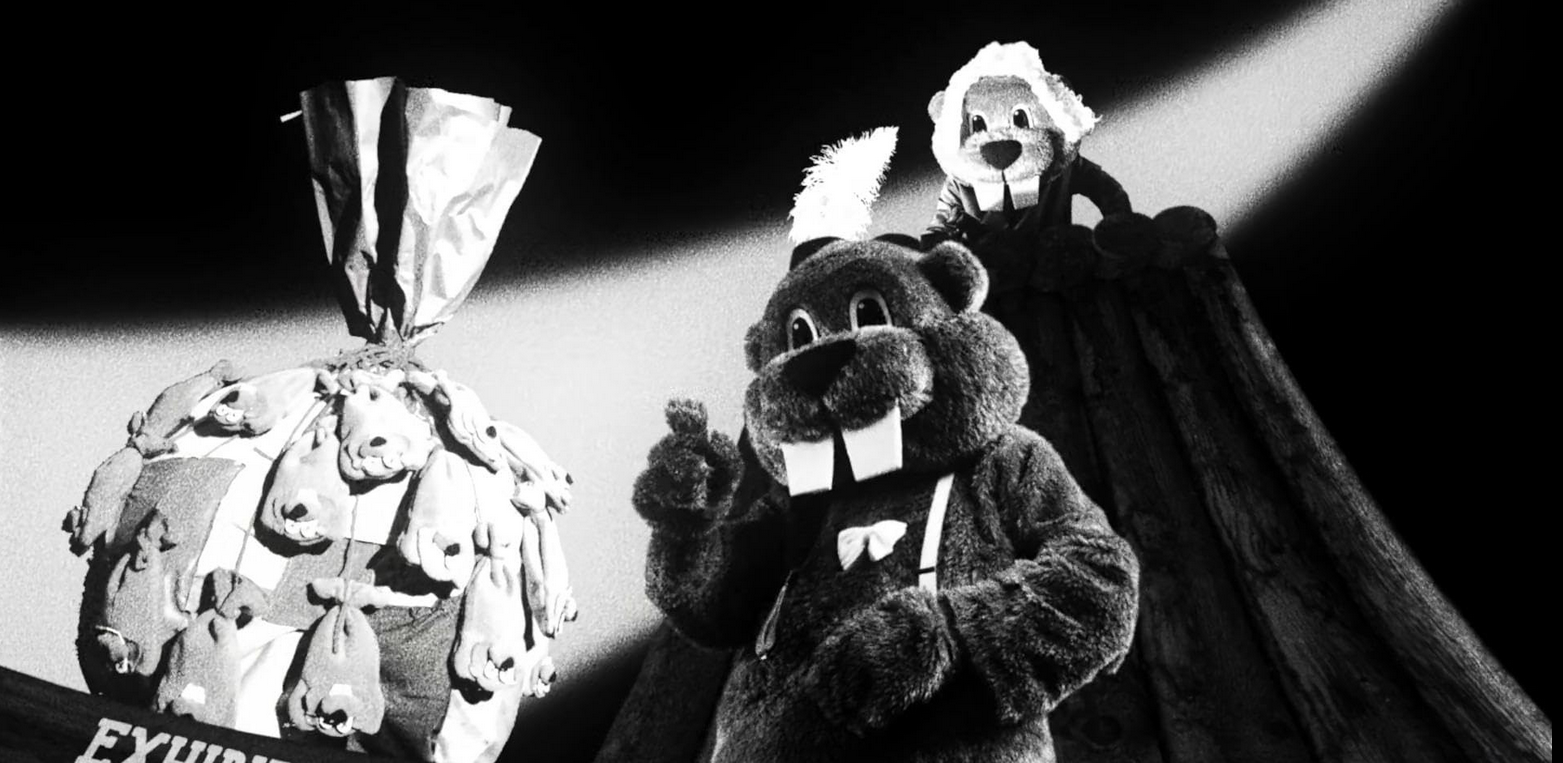 Bilde fra 'HUNDREDS OF BEAVERS'