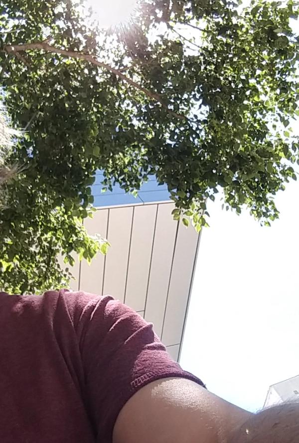 Bilde fra 'Filmklubben: Regissørbesøk'