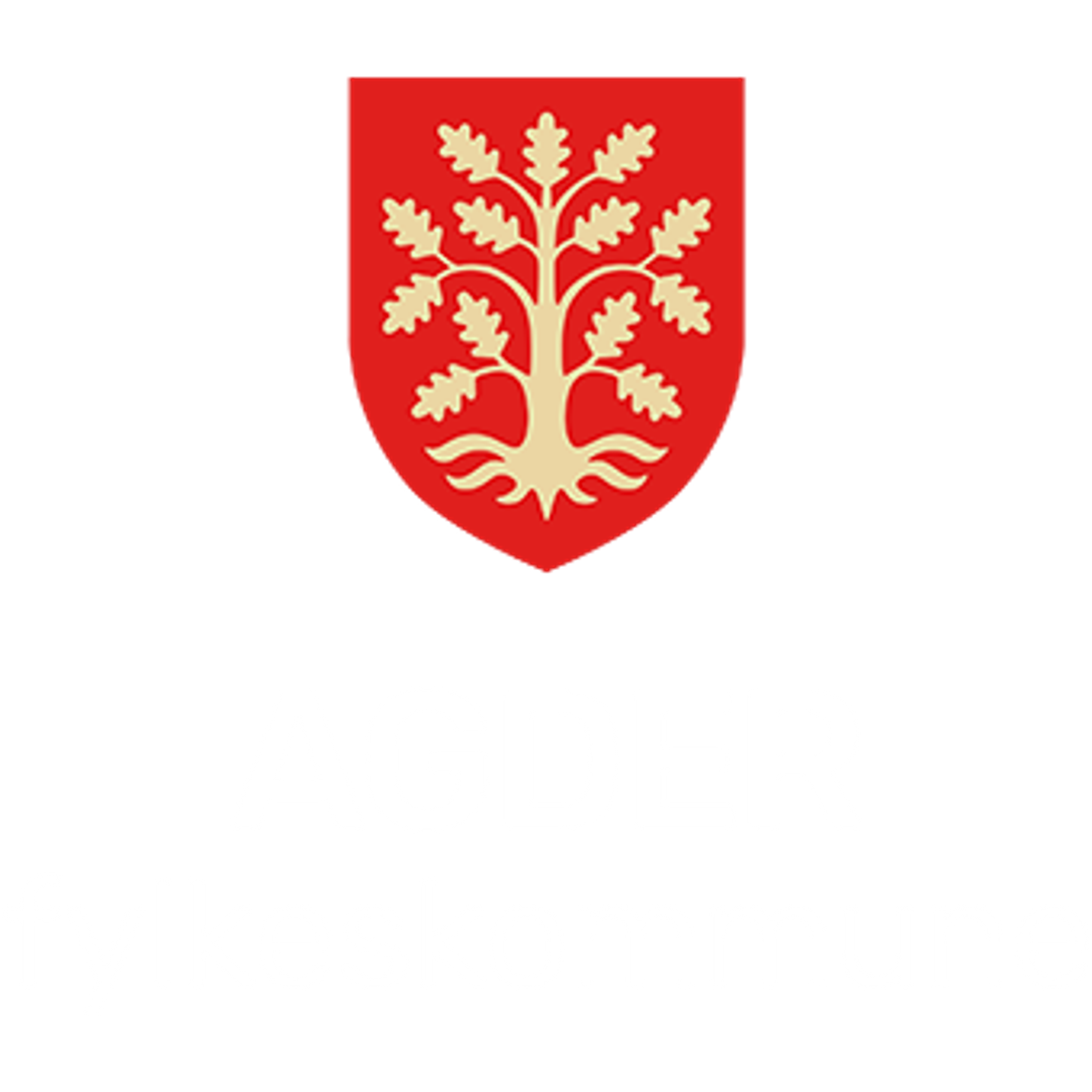 agder fylkeskommune