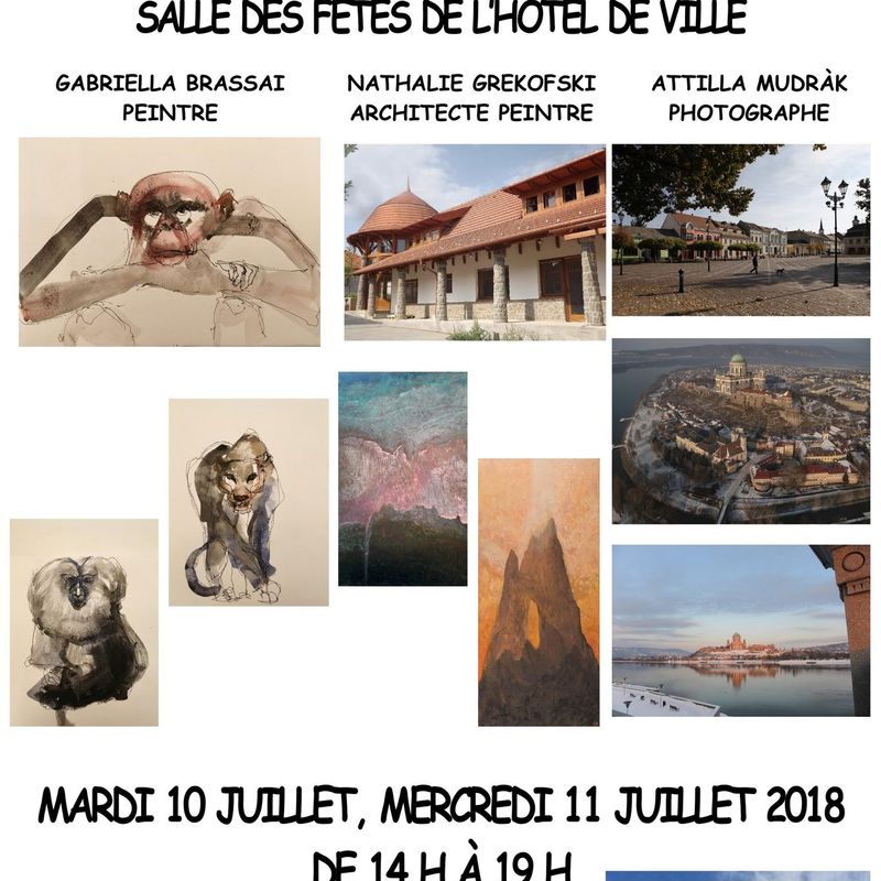 Trois artistes hongrois exposent à Cambrai
