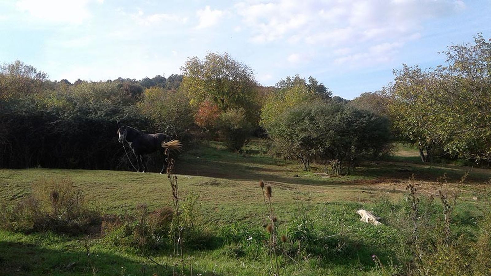 Building plot for sale — Csobánka - 6