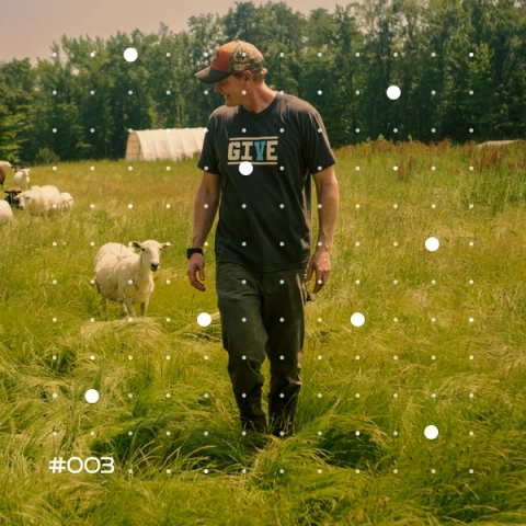 Mark Smith, Co-founder of Carbon Country, walks through a field alongside his grazing sheep.