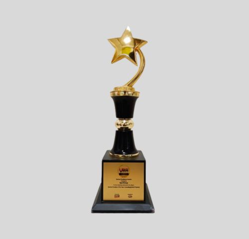 Service Provider of the Year – Consulting (Hybrid Projects)