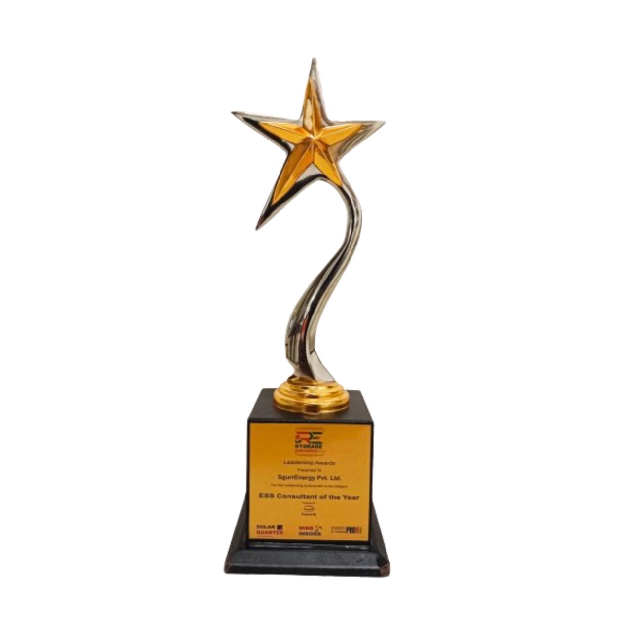 ESS Consultant of the Year