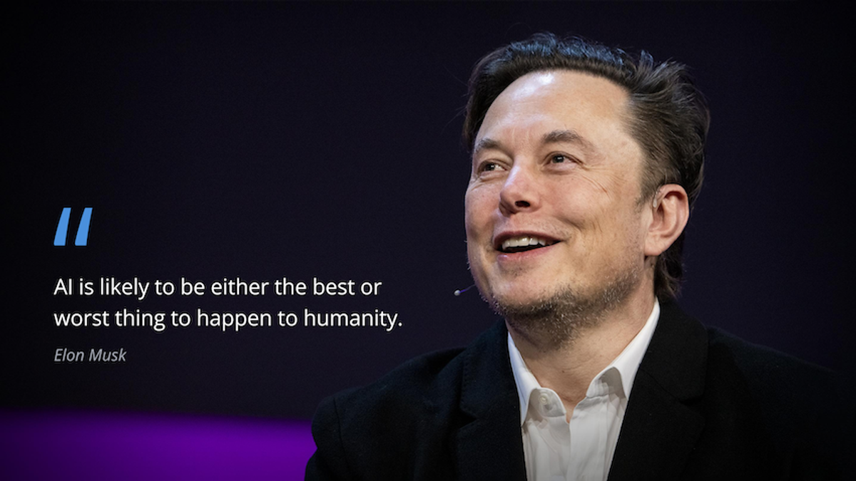 Elon Musk Quote