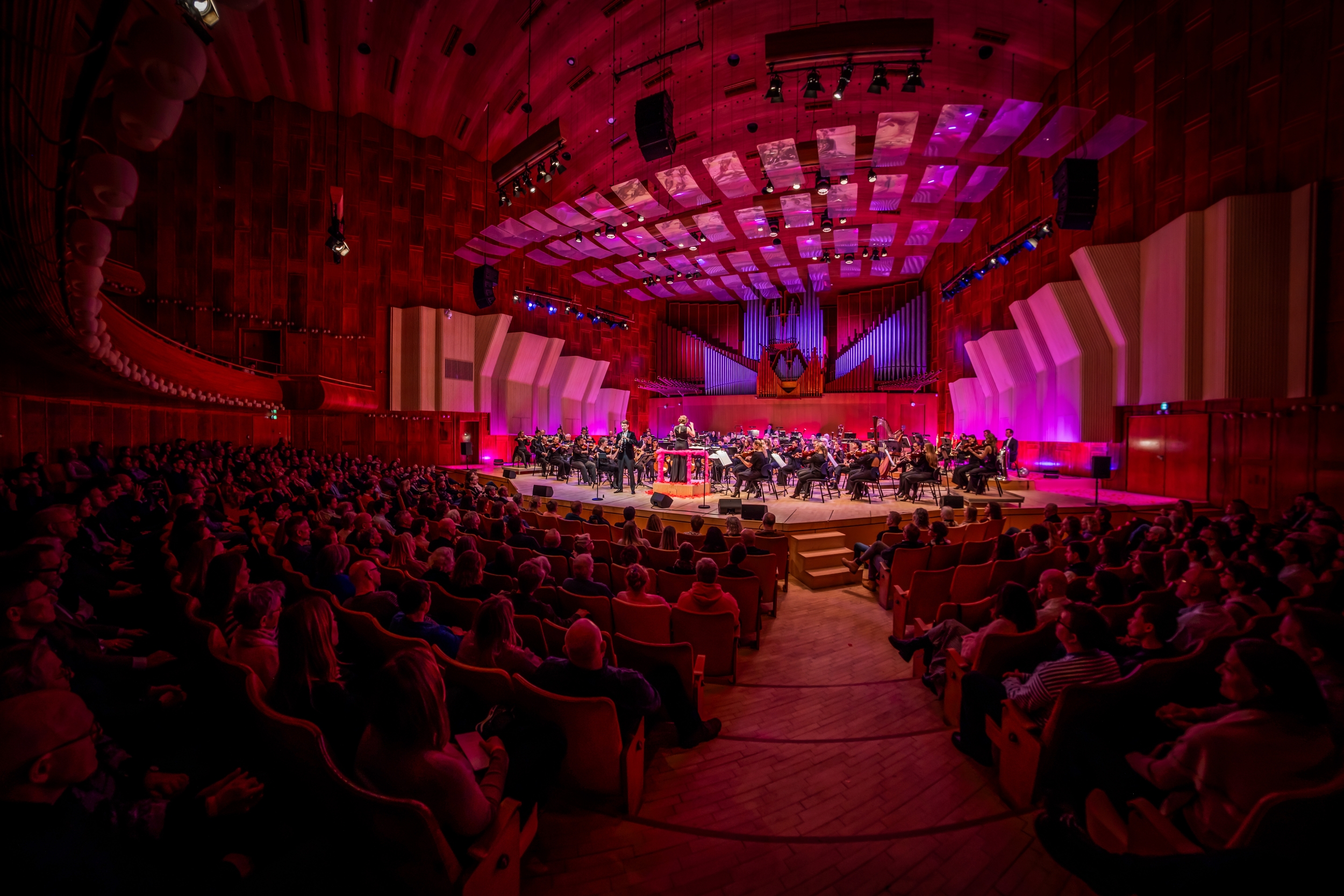 Phil In Love image 4