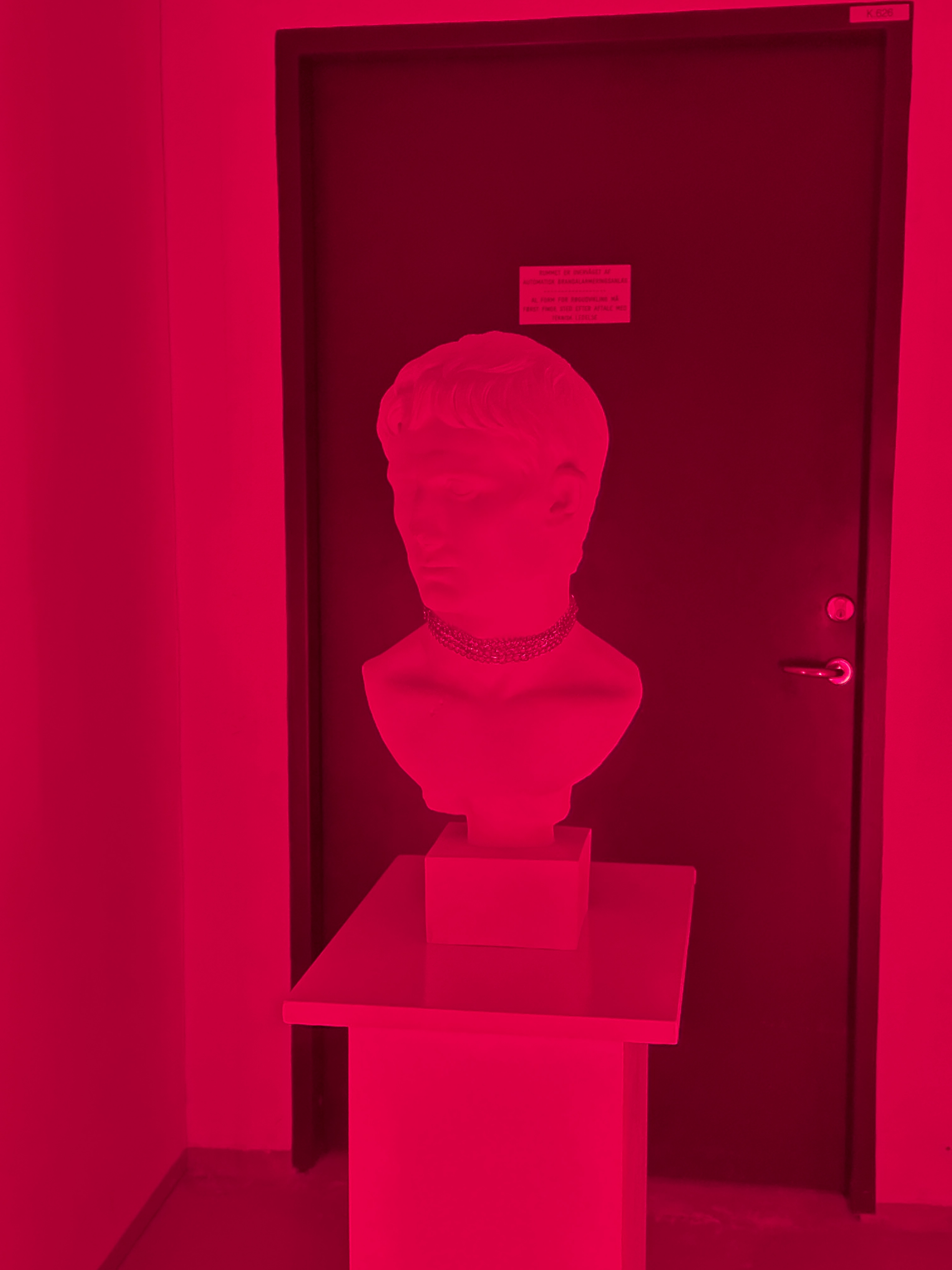 Phil in Love image 9