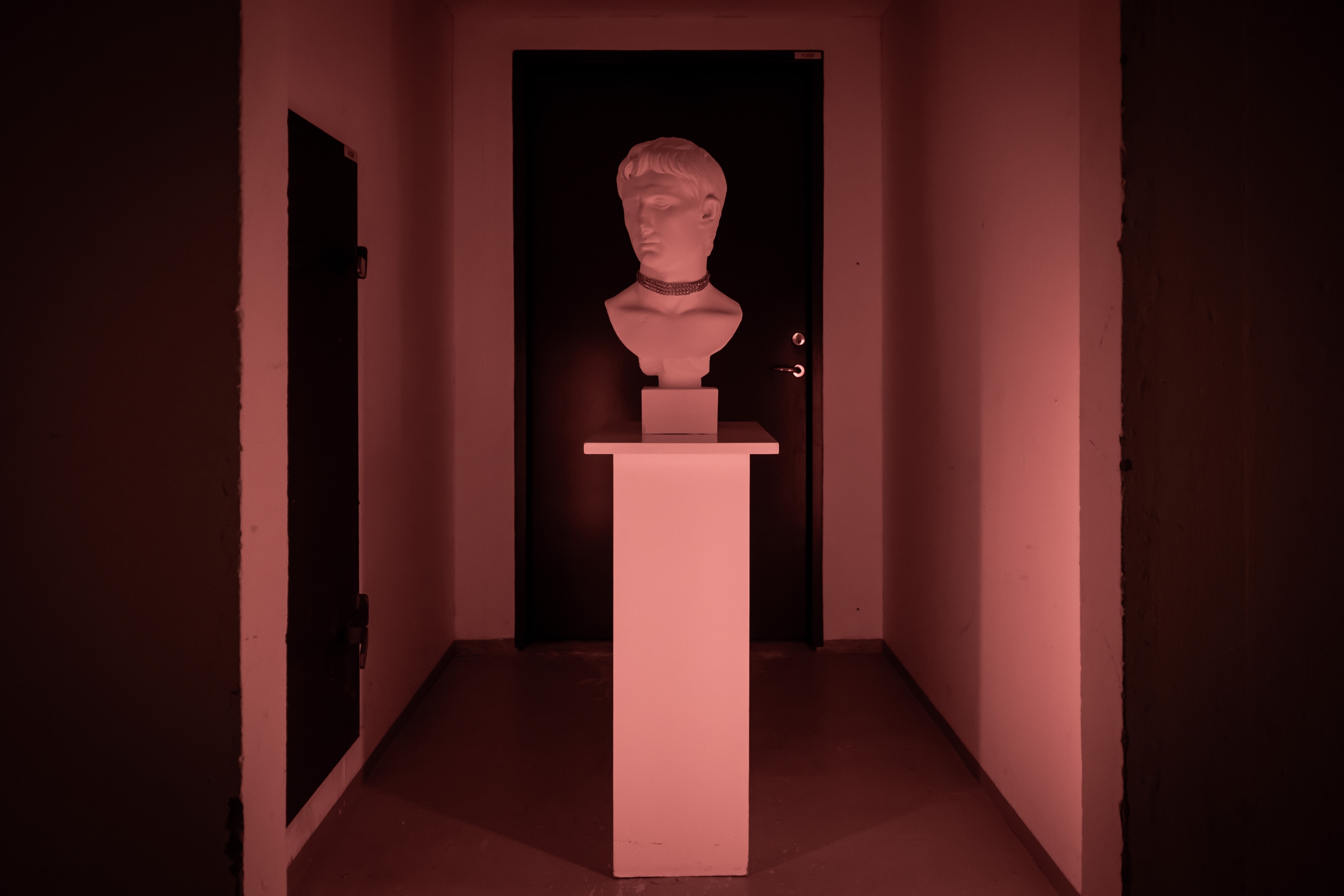 Phil In Love image 8