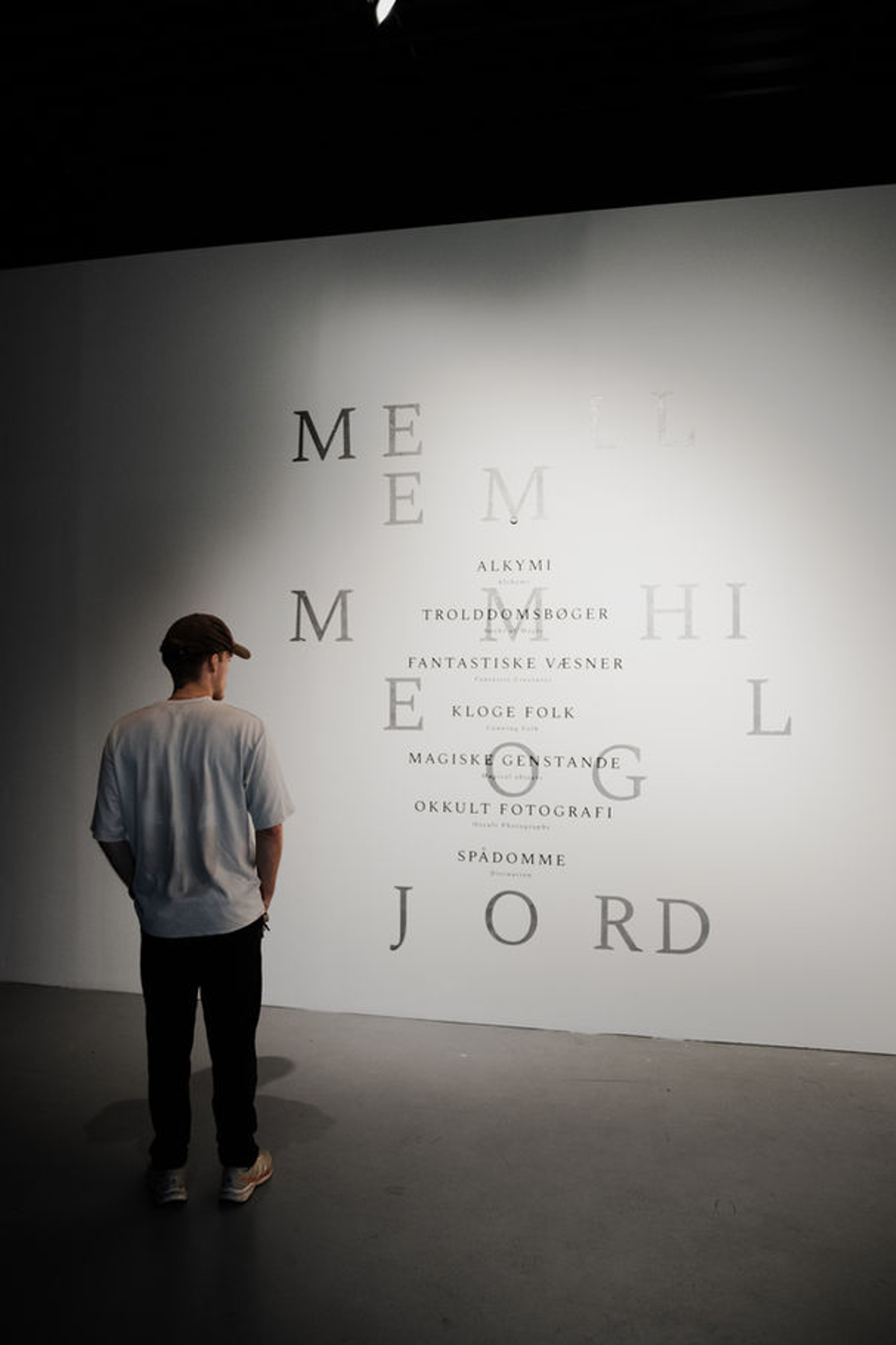 Mellem Himmel og Jord image 3