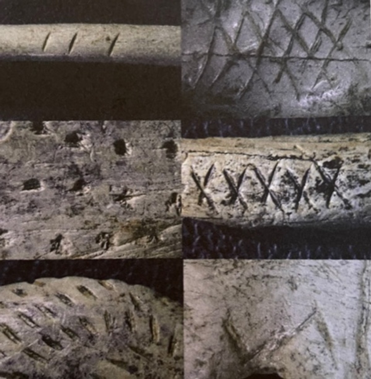 Ill. 10. Forskellige abstrakte motiver af dyrefigurer fra den schwabiske jura, Illustration:Thomas Weil, New Grammar of Ornament 2021

Traditionen for at skabe specifikke geometriske ornamenter kan kaldes for en antropologisk konstant og billedliggør menneskets behov for at lade vores omgivelser med værdi og nydelse. Allerede i de tidligst dokumenterede bosættelser i Europa for ca. 35–43 tusinde år siden, fandtes ornamentale mønstre i repetitive og ordnede opstillinger på dyreformationer.