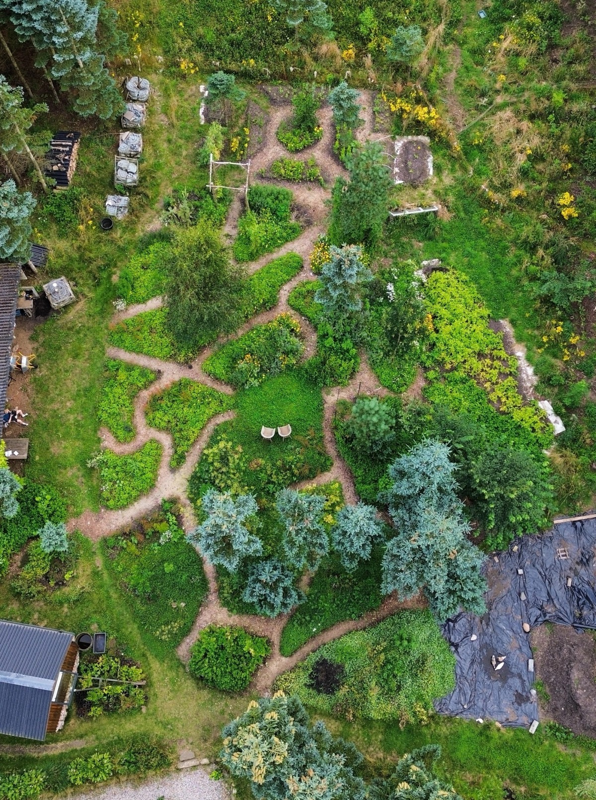 Ill. 7. Peter og Marie Cox har fundet et sted, hvor de gerne vil bo i nogle år – blandt andet fordi de arbejder med forskellige former for dyrkningsteknikker, som er mere skånsomme over for naturen. Foto: Peter Cox, venligst udlånt.