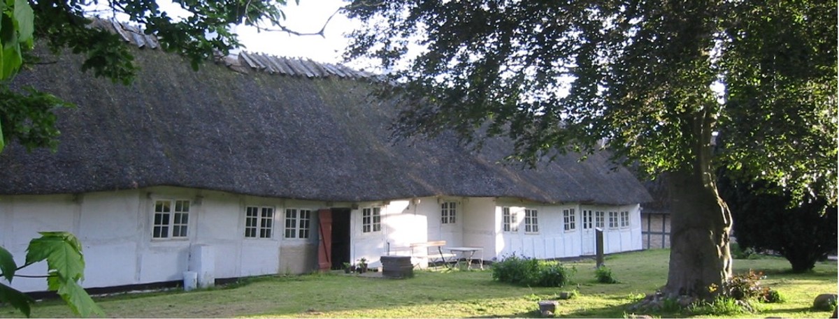 Ill. 1. Gård I Viby på Fyn. Foto: Søren Vadstrup
