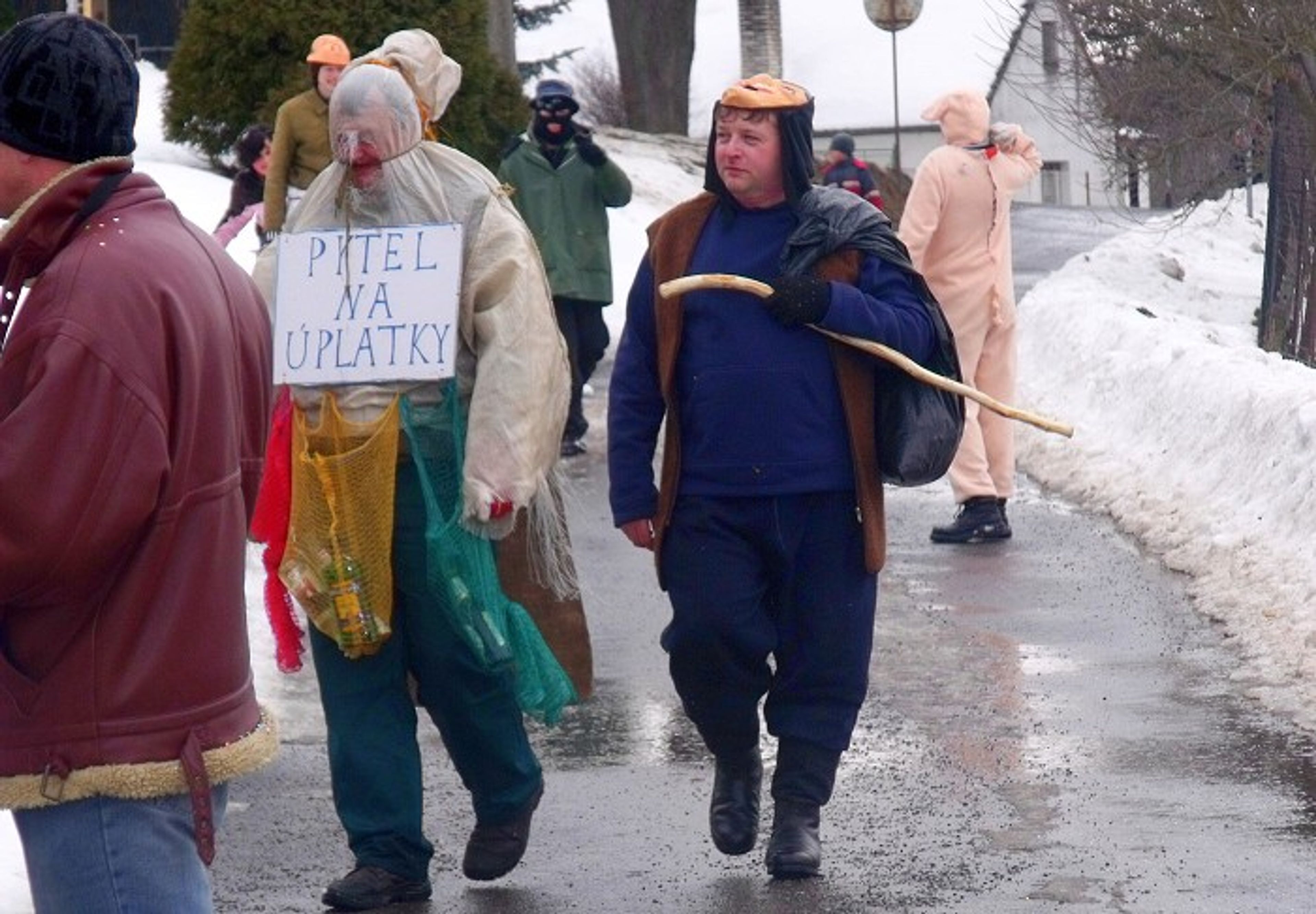 Náhled galerie Masopust 2012