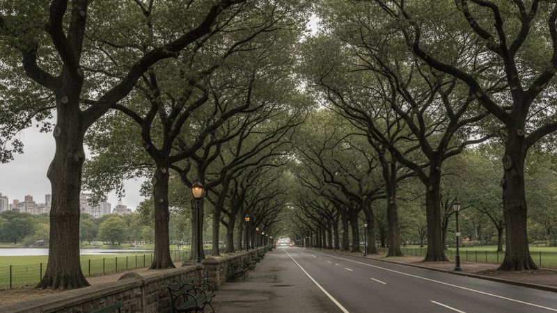 Editorial photograph of a wide tree-lined avenue running beside Central Park, the park's low stone wall and benches in t