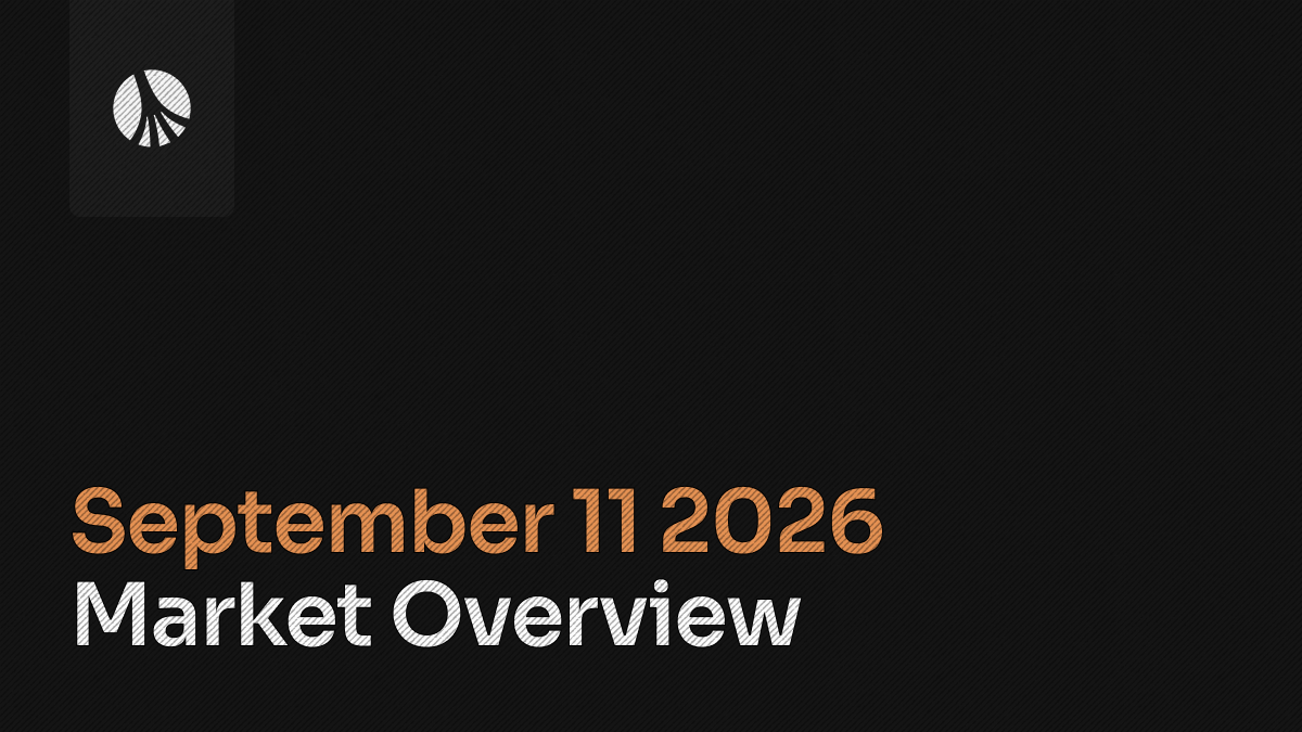 Rootstone branded graphic with the title 'Market Overview' displayed on a dark background.