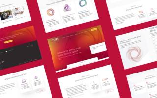 Kooba Wins Best Website for Vizor at the DMAs!