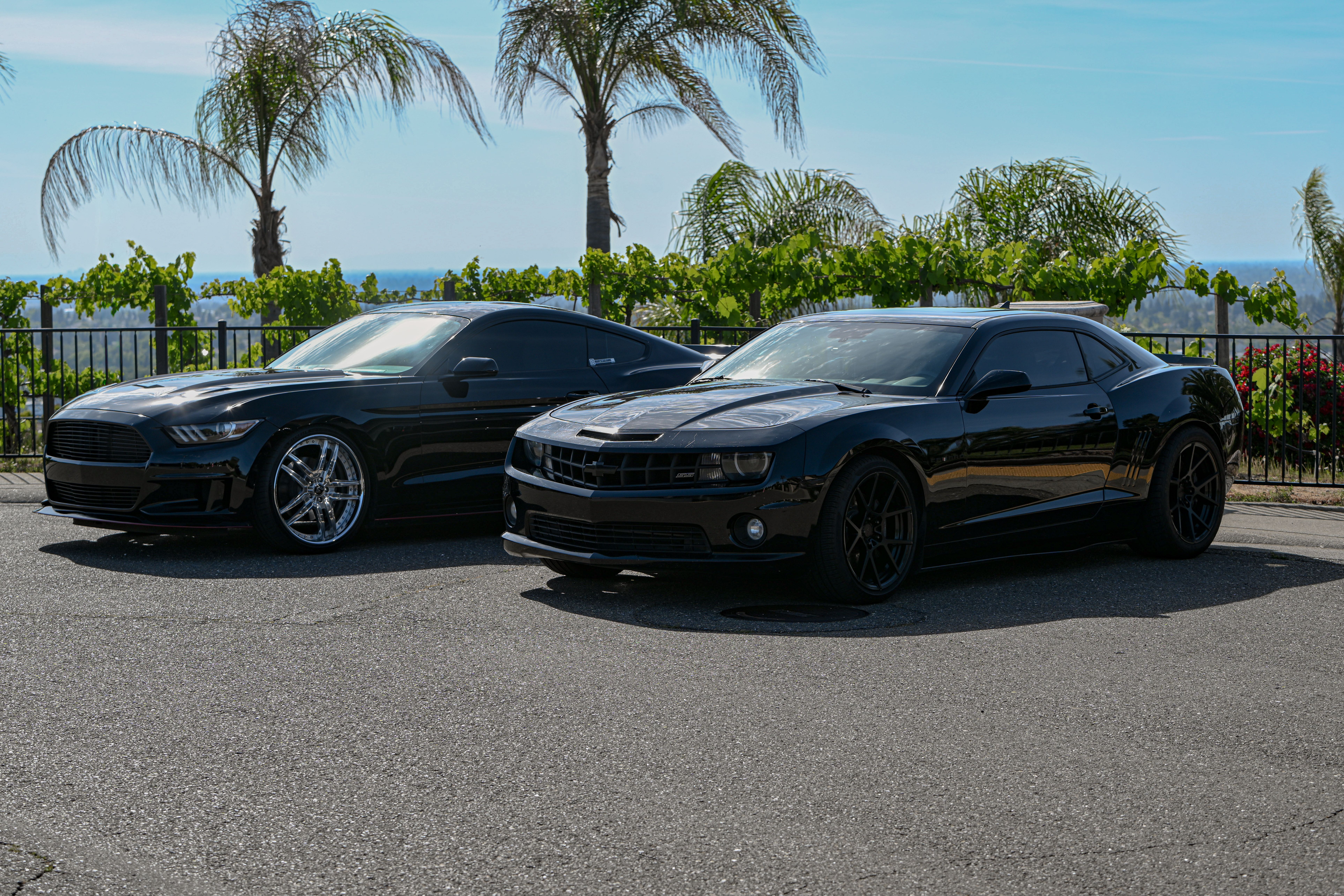 Cars