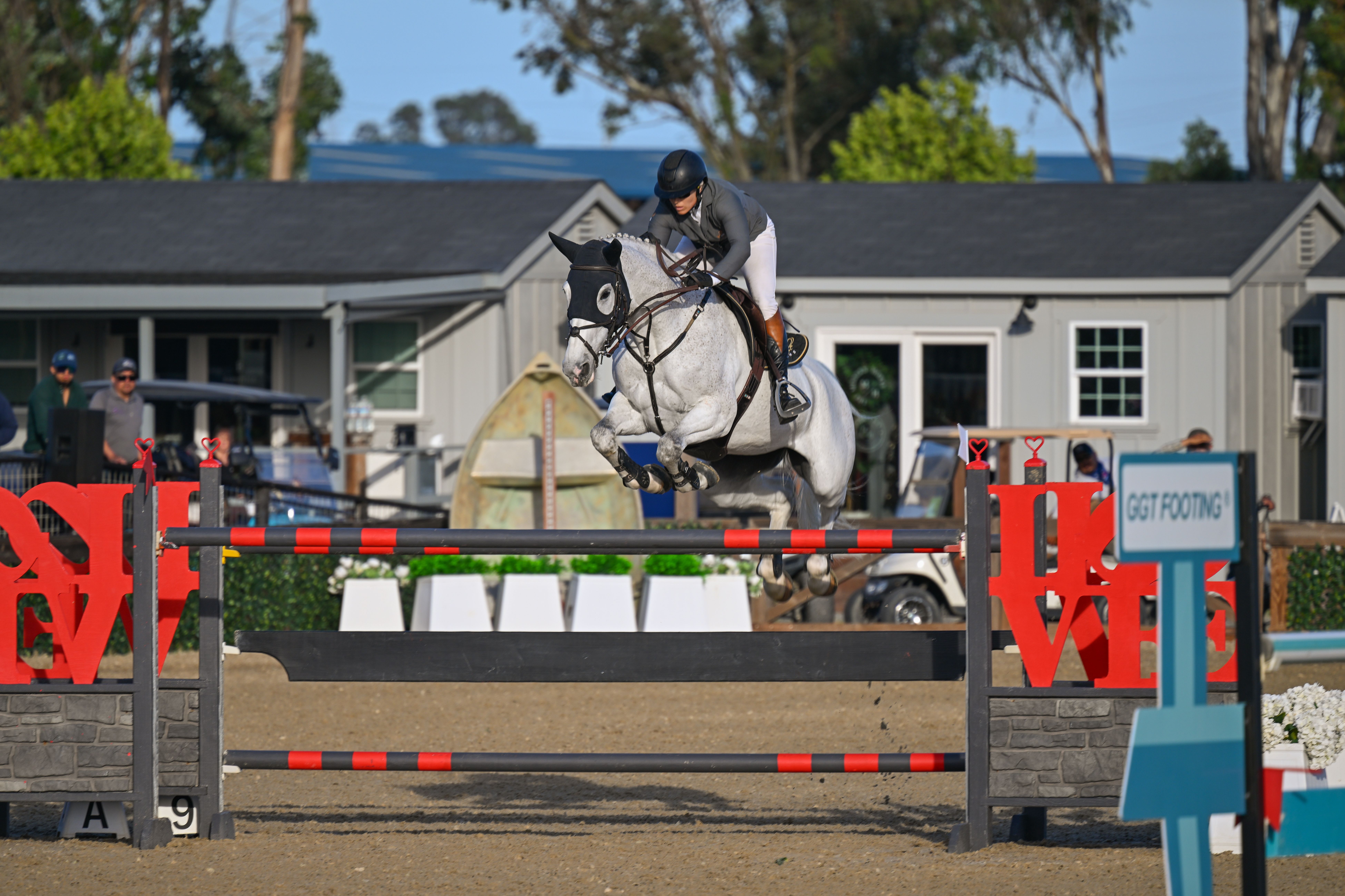 Show Jumping