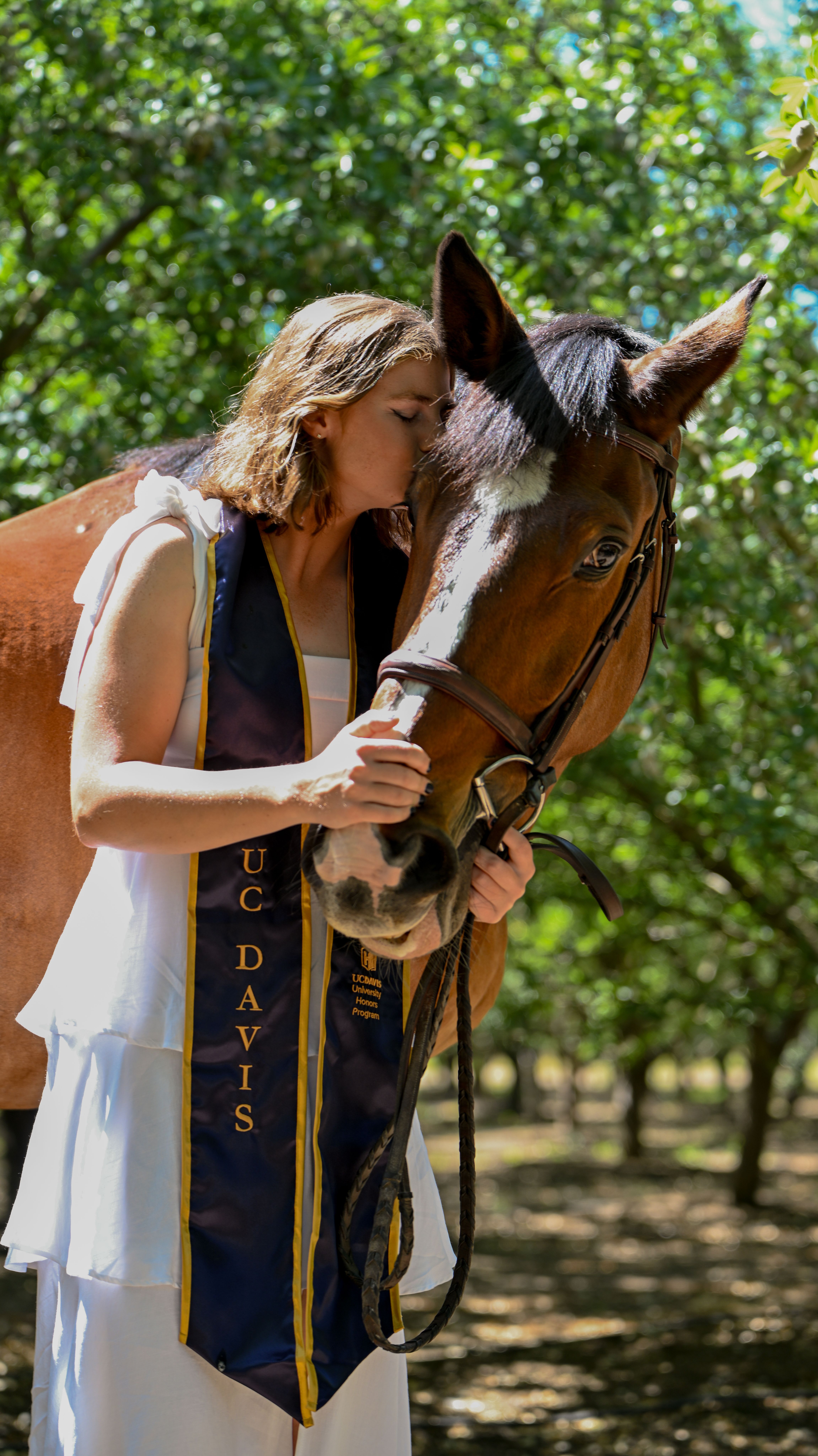 Senior Photos 
