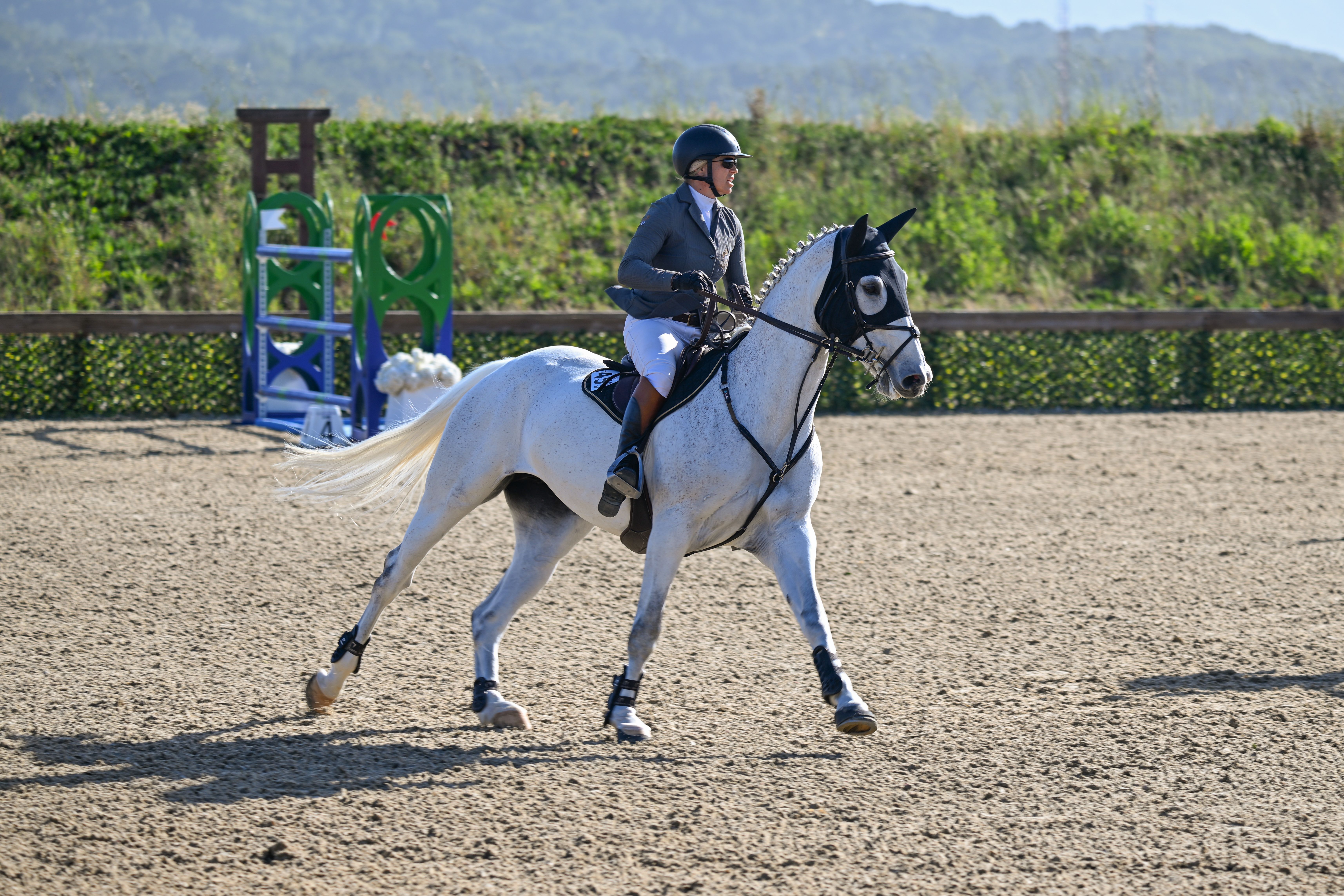 Show Jumping