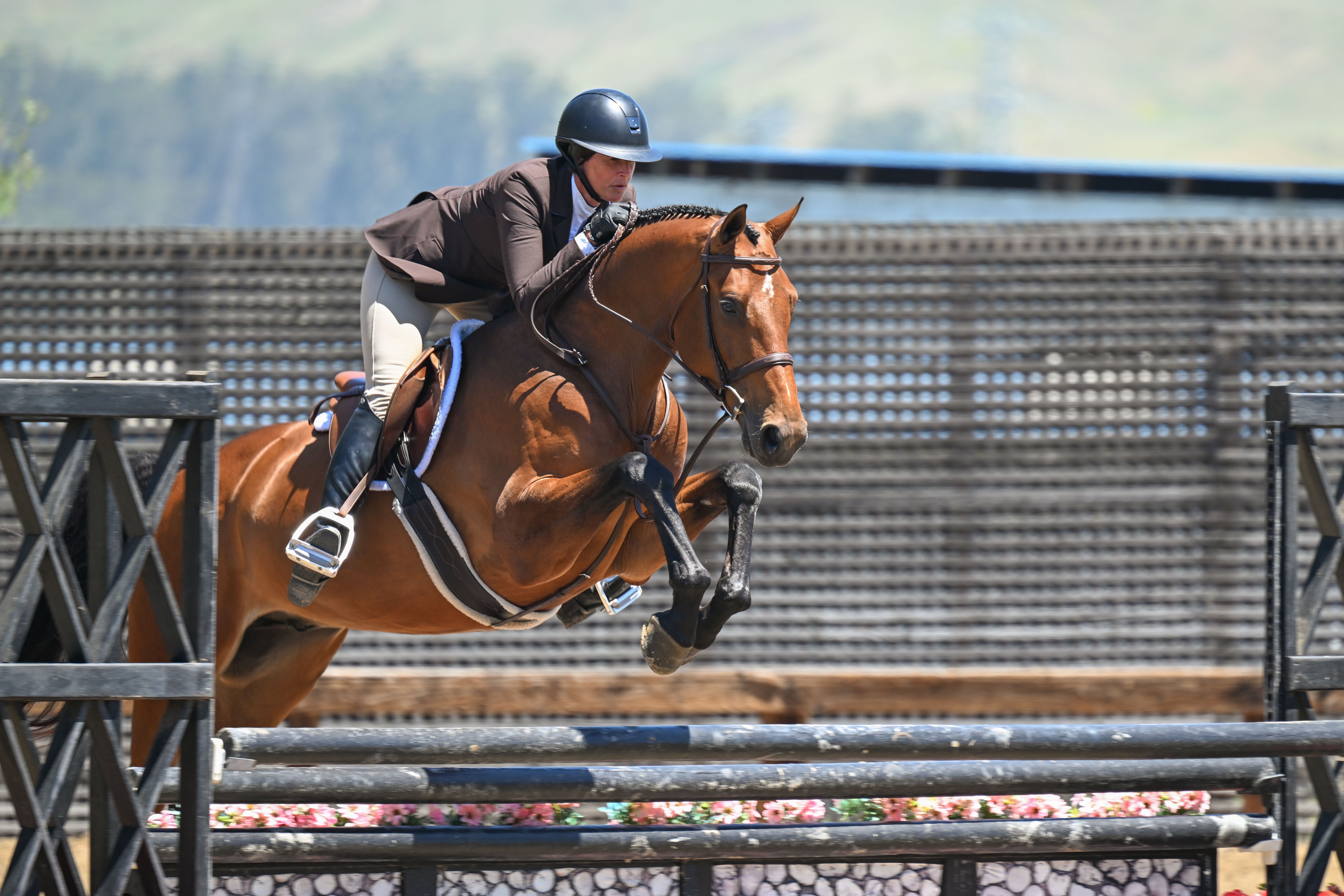Show Jumping