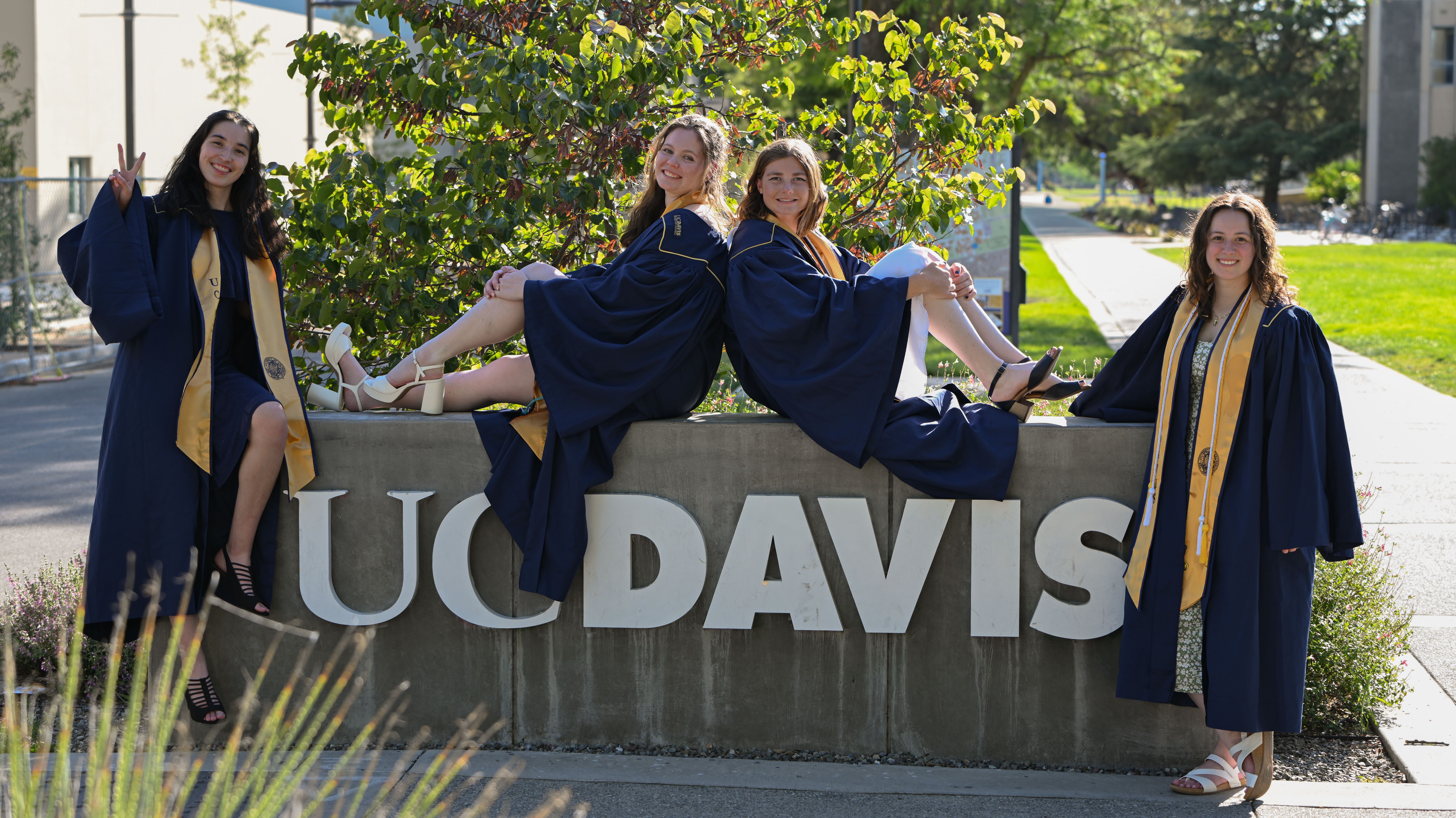 Senior Photos 