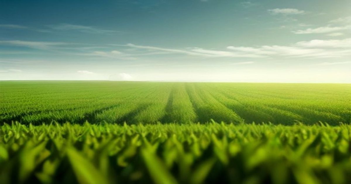 Punjab, China partner on smart farming - The Express Tribune
