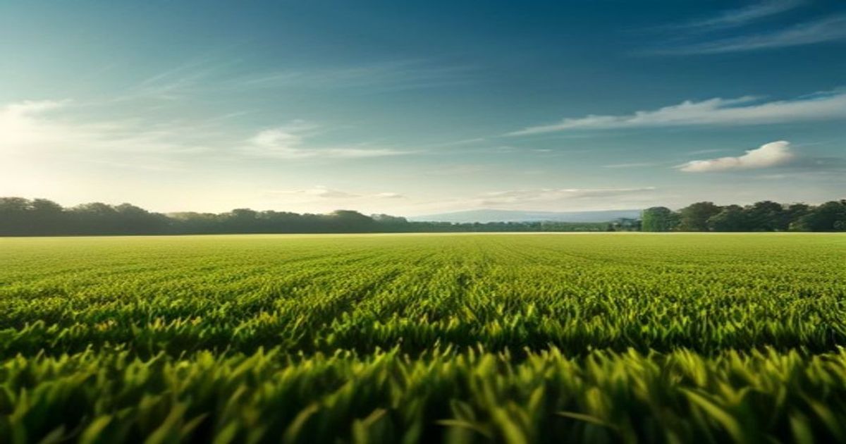 Buy or outsource? What drives German farmers toward field robots - Bioengineer.org
