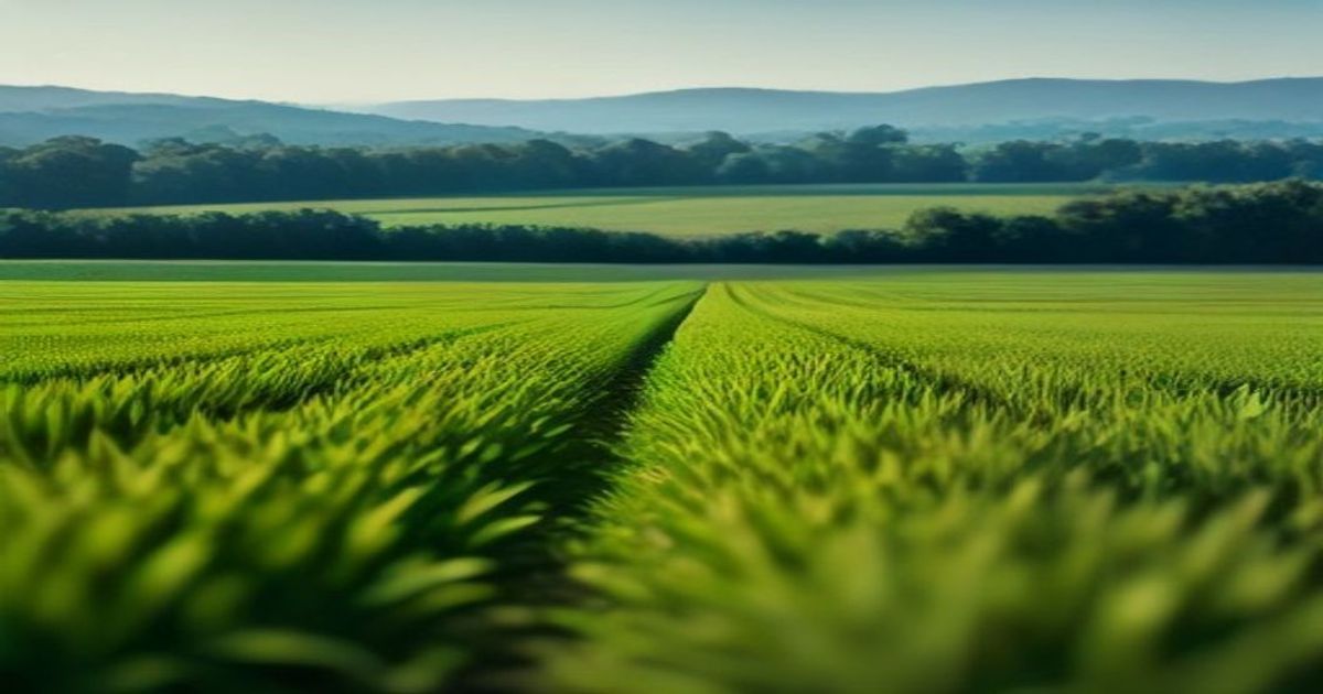 New Zealand Plans Simpler Rules for Agricultural Drone Operations - OpenGov Asia
