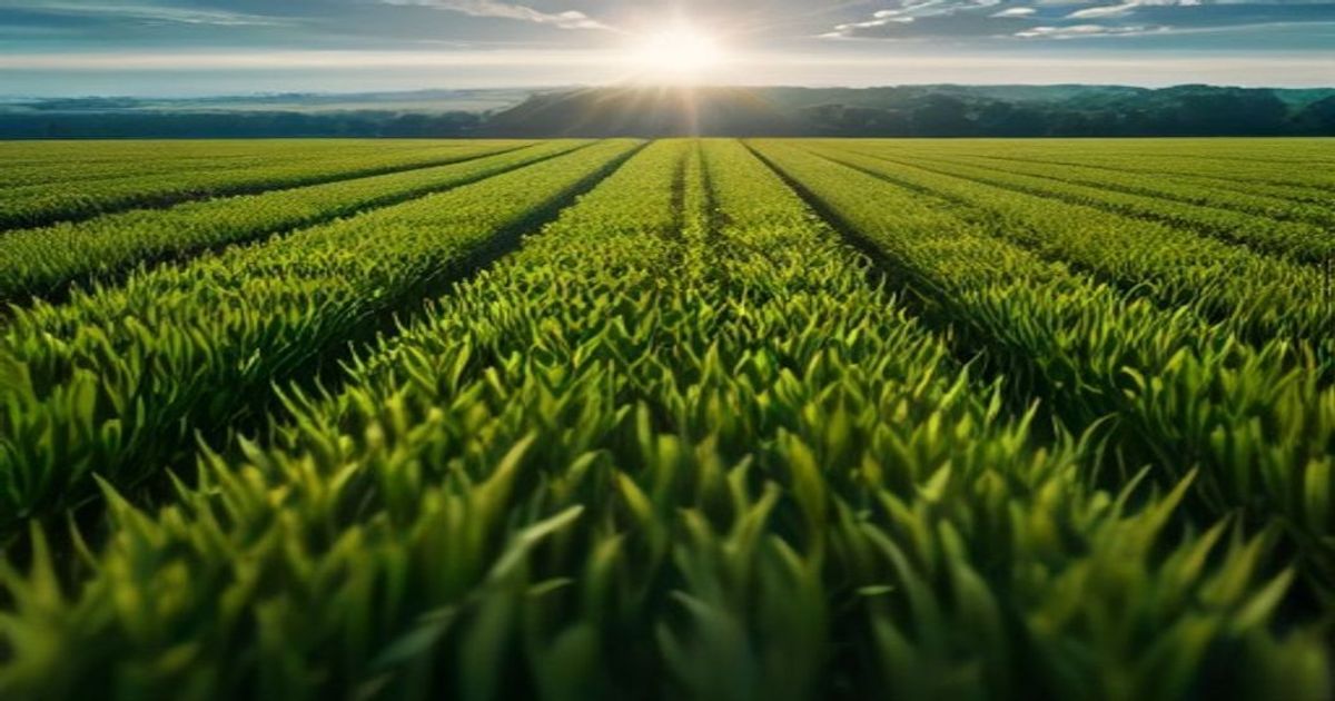 Precision Farming Dealer's Best of the Web: August 19, 2026 - precisionfarmingdealer.com