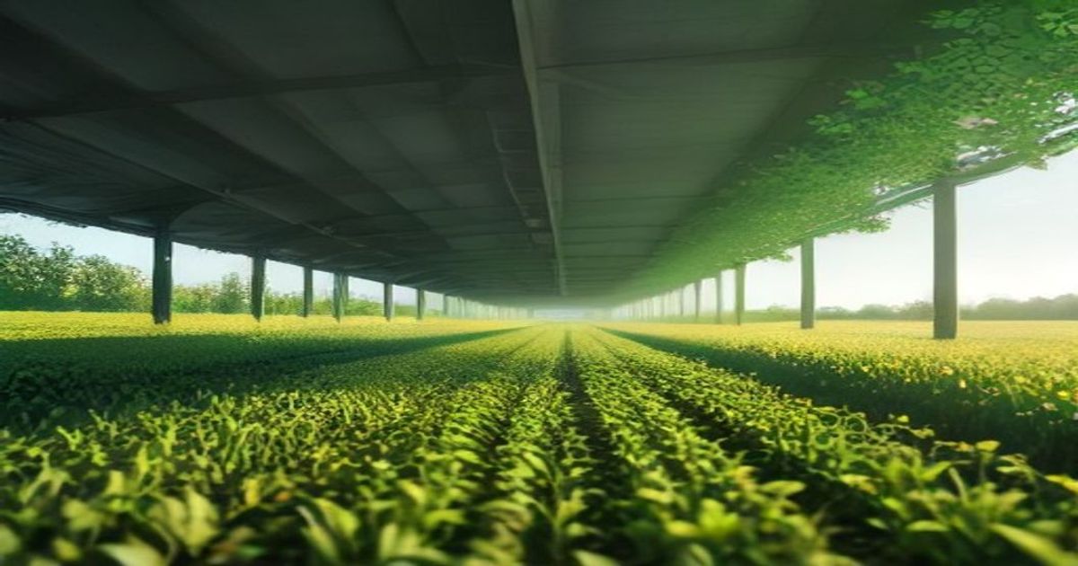 Decoding China's 2026 Agriculture Agenda - orfonline.org