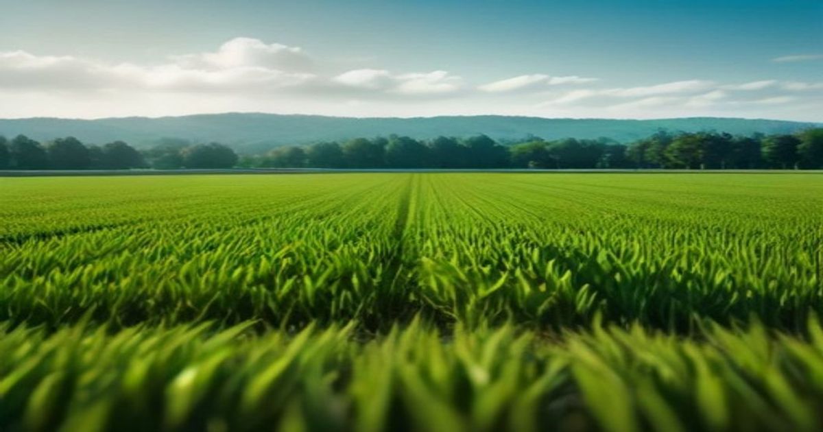 Ag Tech Solutions Sought for California Crops - Citrus Industry Magazine