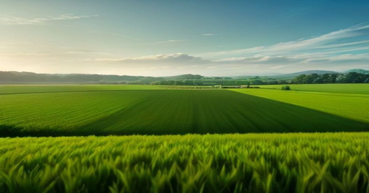 80 Acres Farms Employee Lawsuit Exposes the Hidden Cost of Vertical Farming’s Collapse - lawnews.co.uk