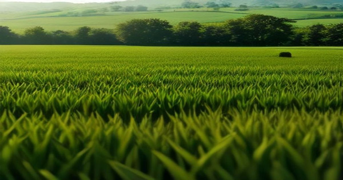 Ag technology continues to refine inputs - AgUpdate
