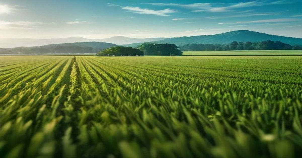 Agronomic and irrigation trends contractors need to know for 2027 - Landscape Management